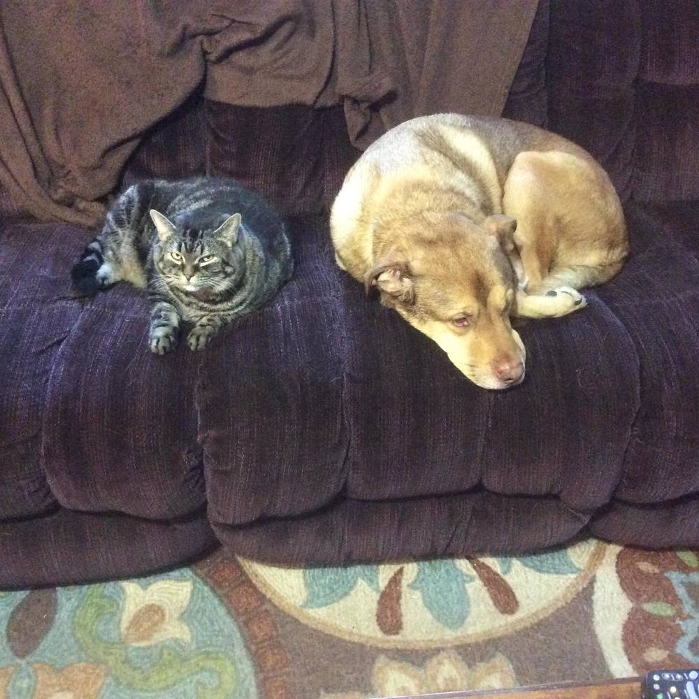 Meet your Posher, Haskell